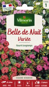 Belle de Nuit Variée